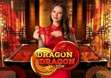 Dragon Dragon